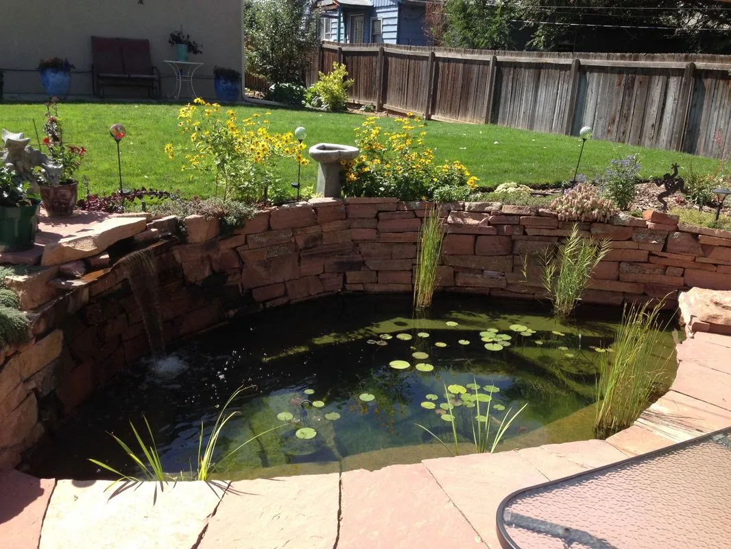 Garden pond with lily pads and a stone spillway