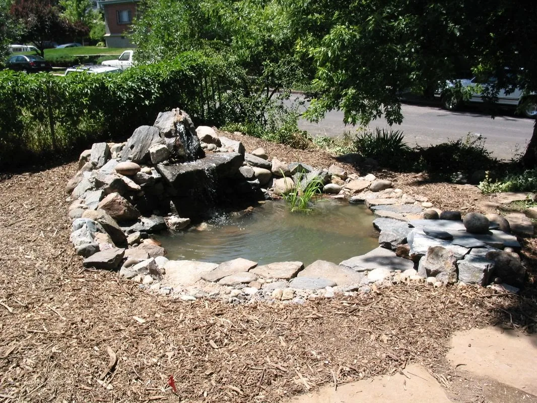 Garden pond edged in rock with a small waterfall
